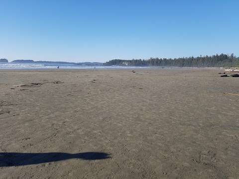 Long Beach Nature Tours